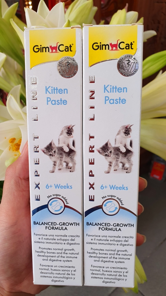 Gimcat gel kitten paste 50gr Gel dinh dưỡng cho mèo con trên 6 tuần