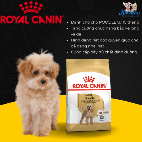 Thức ăn hạt dành cho chó trưởng thành Royal Canin Poodle Adult 0.5kg - 1.5kg