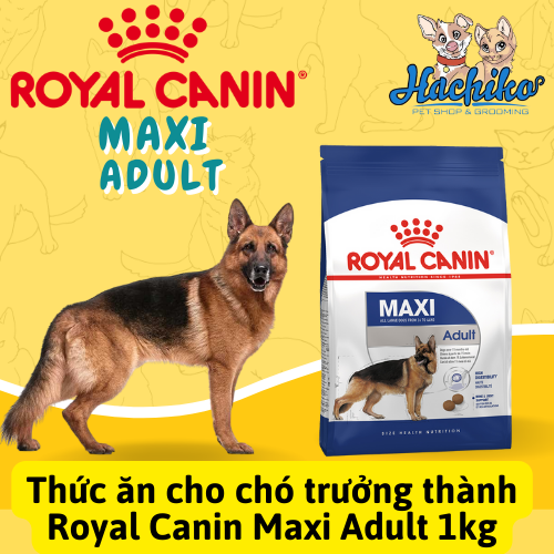 Thức ăn cho chó trưởng thành Royal Canin Maxi Adult trên 12 tháng tuổi
