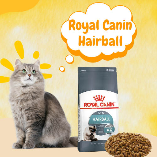 Thức ăn cho mèo tiêu hóa lông, búi lông Royal Canin Hairball 400gr - 2kg