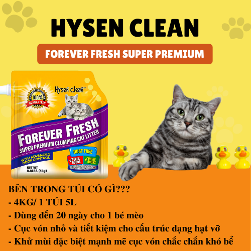 Cát vệ sinh đá núi lửa cao cấp Hysen Clean dành cho Mèo 4kg