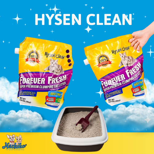 Cát vệ sinh đá núi lửa cao cấp Hysen Clean dành cho Mèo 4kg