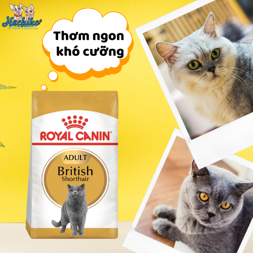 ROYAL CANIN British Shorthair Adult 400gr/2kg - Thức ăn Mèo Anh lông ngắn trưởng thanh