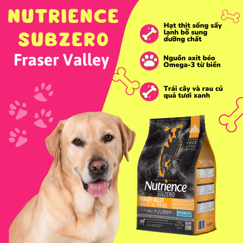 Hạt Chó Nutrience Subzero Small breed Gói vàng (gà tây, cá hồi, cá trích, cá tuyết..)