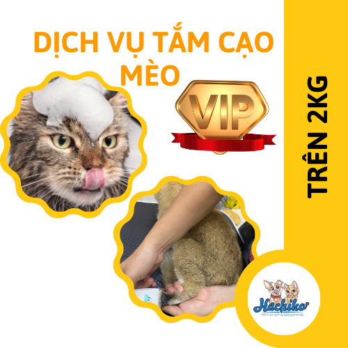Combo VIP trọn gói Tắm - Cạo cho Mèo
