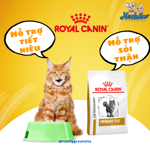 Thức ăn hạt cho Mèo Royal Canin Urinary S/O sỏi thận và tiết niệu 1,5kg