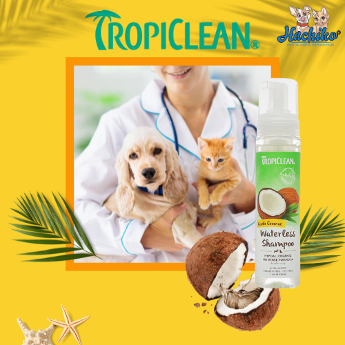 Dầu tắm khô cho chó và mèo da nhạy cảm Tropiclean hương dừa 220ml