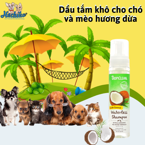 Dầu tắm khô cho chó và mèo da nhạy cảm Tropiclean hương dừa 220ml