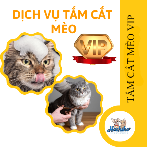 Combo VIP trọn gói Tắm - Cắt cho Mèo