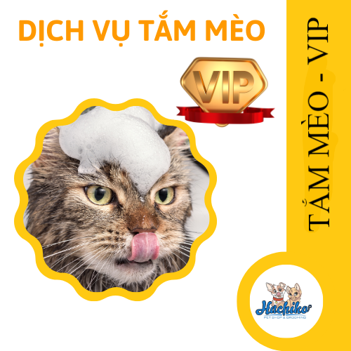 Combo VIP trọn gói Tắm cho Mèo