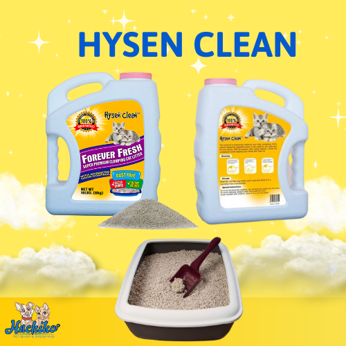 Cát vệ sinh đá núi lửa cao cấp Hysen Clean dành cho Mèo 8kg (Thùng 3 can nhựa)