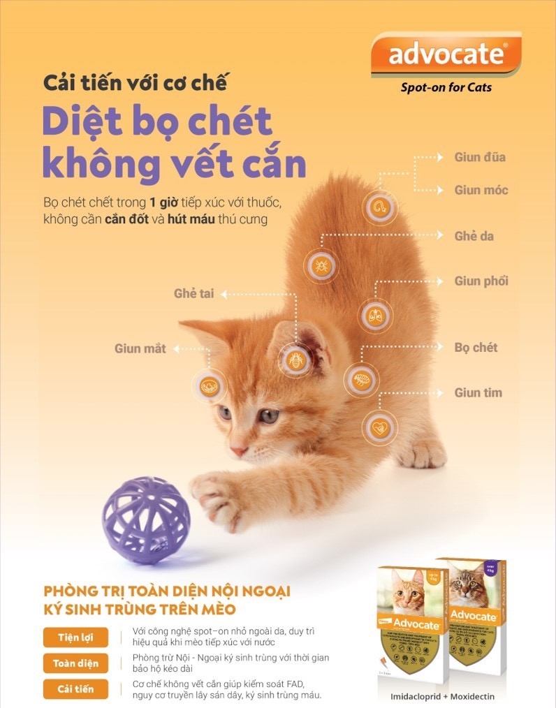 Elanco Advocate nhỏ gáy trị nội ngoại ký sinh trùng cho Mèo trên 4kg (hộp 3 tuýp)