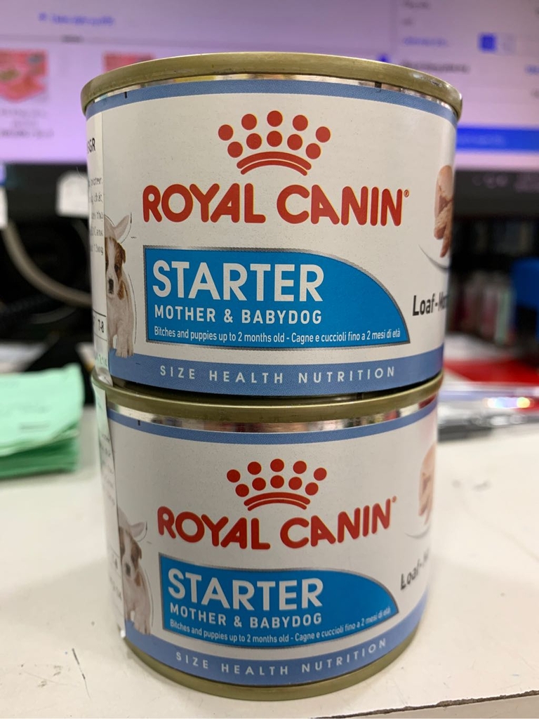 Pate Royal Canin Starter Mousse cho chó mẹ và chó con 195gr