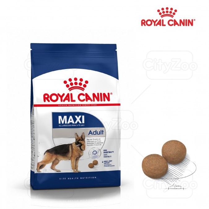 Thức ăn cho chó trưởng thành Royal Canin Maxi Adult trên 12 tháng tuổi