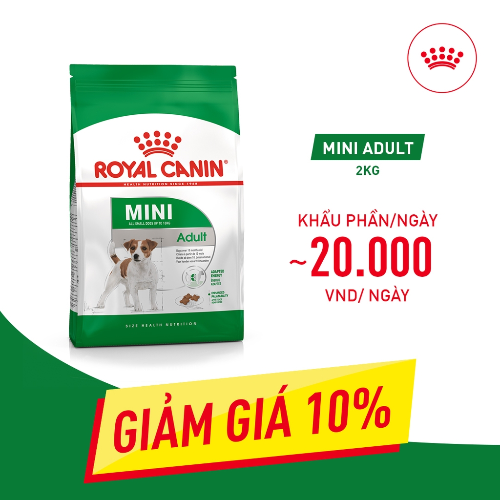 Thức ăn cho chó trưởng thành cỡ nhỏ ROYAL CANIN Mini Adult 