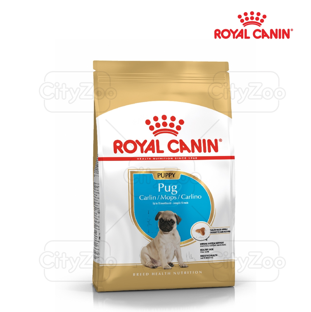 Thức ăn cho chó con dưới 10 tháng tuổi Royal Canin Pug Puppy 1.5kg