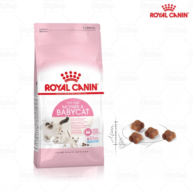 Thức ăn khô Royal Canin dành cho mèo mẹ sau sinh và mèo con từ 1 đến 4 tháng 400gr/2kg/4kg