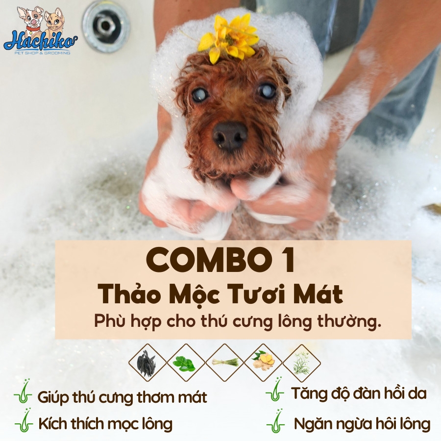 Combo Tắm - Cạo thảo mộc trọn gói cho Mèo