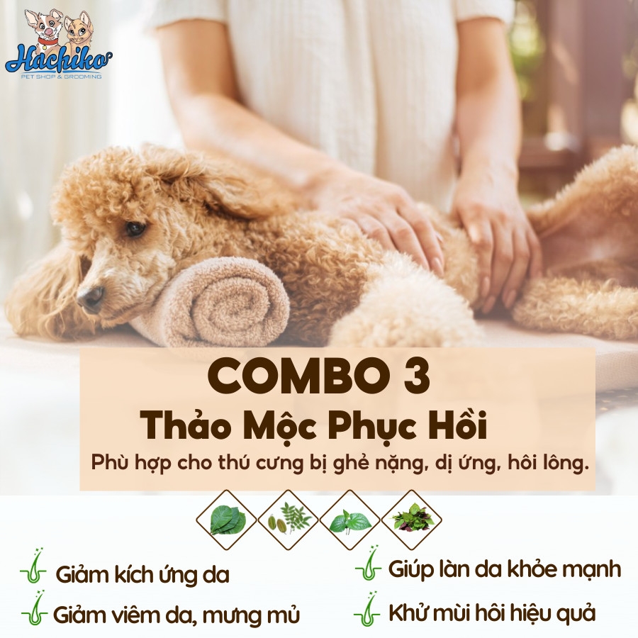 Combo Tắm - Cắt thảo mộc trọn gói cho Chó