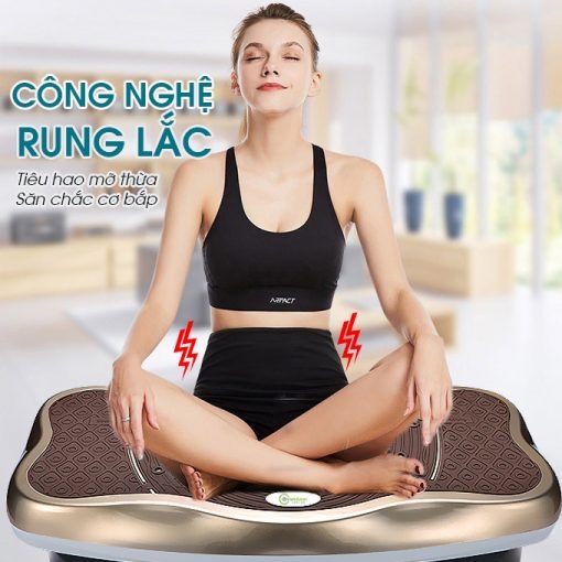 Máy rung giảm béo toàn thân Owa 880