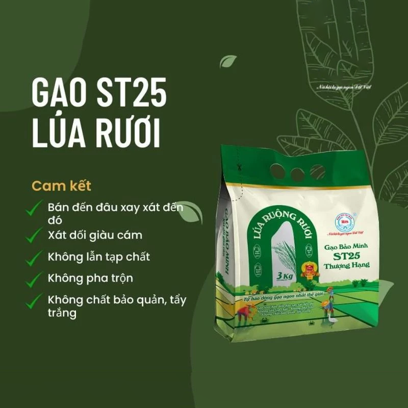 Gạo Bảo Minh ST25 Lúa Ruộng Rươi Túi 3kg