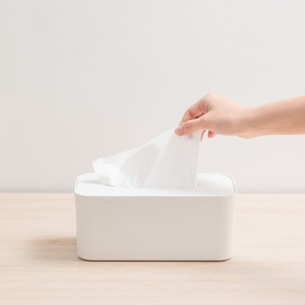 Hộp khăn giấy chữ nhật Sano (nắp nhựa) - Trắng ngọc