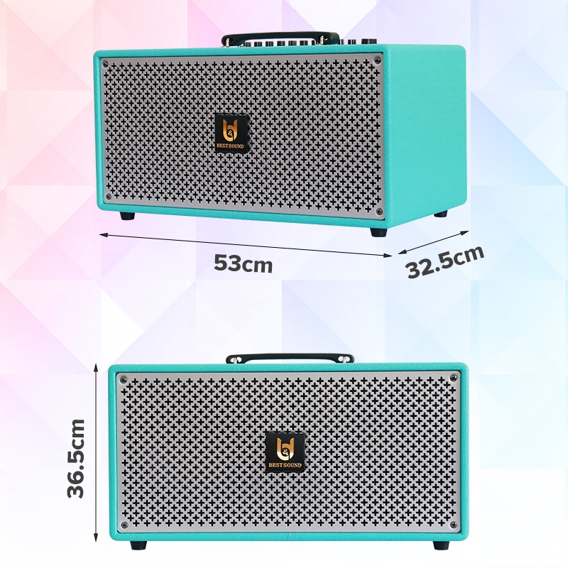 Loa xách tay Best Sound M6