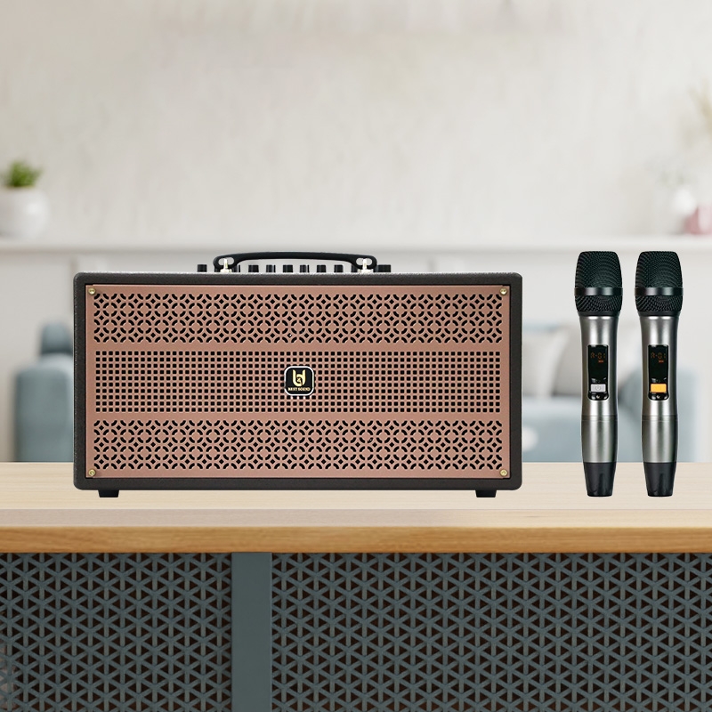 Loa xách tay Best Sound M6 Pro