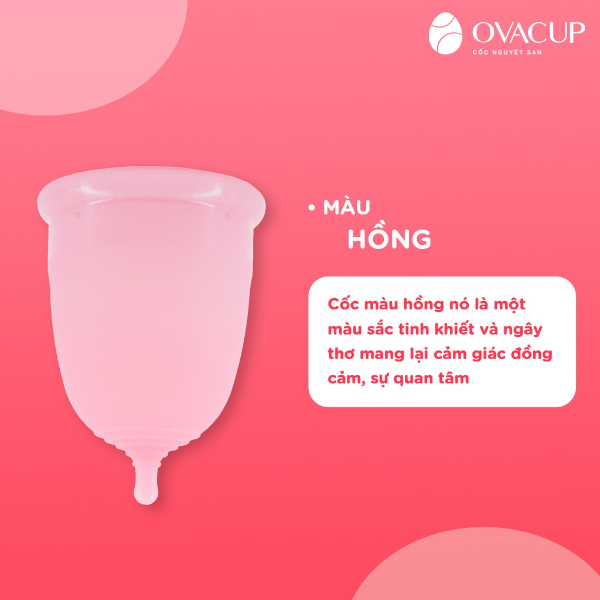 [HN] Cốc nguyệt san Ovacup