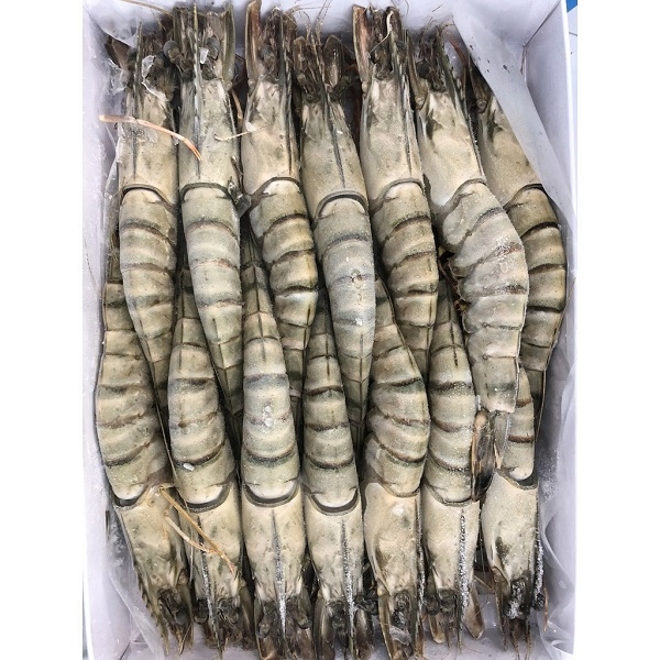 [HCM] Tôm sú nguyên con sinh thái Seaprodex - Hộp 500g - kích cỡ 14 (14 con/hộp)