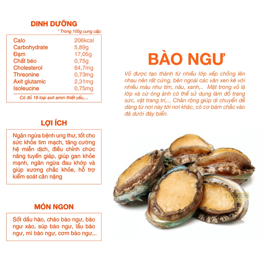 [HCM] Bào ngư Hàn Quốc 1kg Size 20-22 con