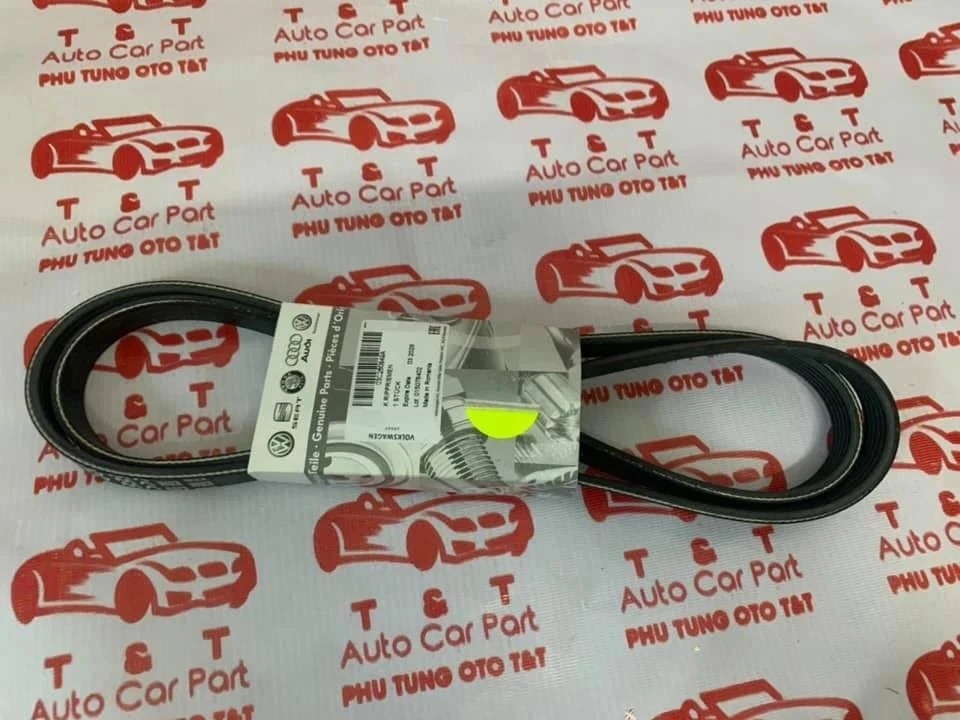 Dây Curroa Tổng VW Tiguan -AUDI - 03C260849A