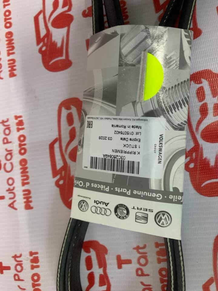 Dây Curroa Tổng VW Tiguan -AUDI - 03C260849A