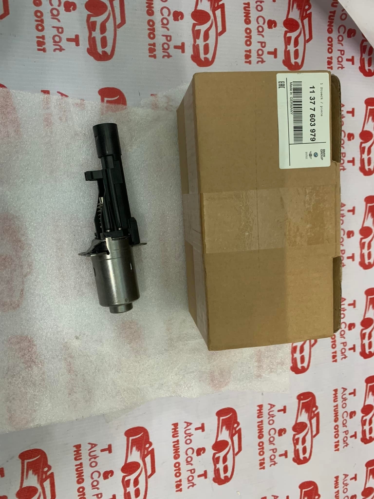 Valvetronic BMW - mô tơ cam   11377603979