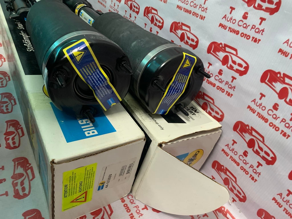 Giảm xóc (phuộc nhún) trước xe Mercedes R L Class W251 - A2513203113 -A2513203013