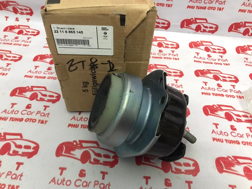 Chân máy BMW X5 - X6 -22116865145