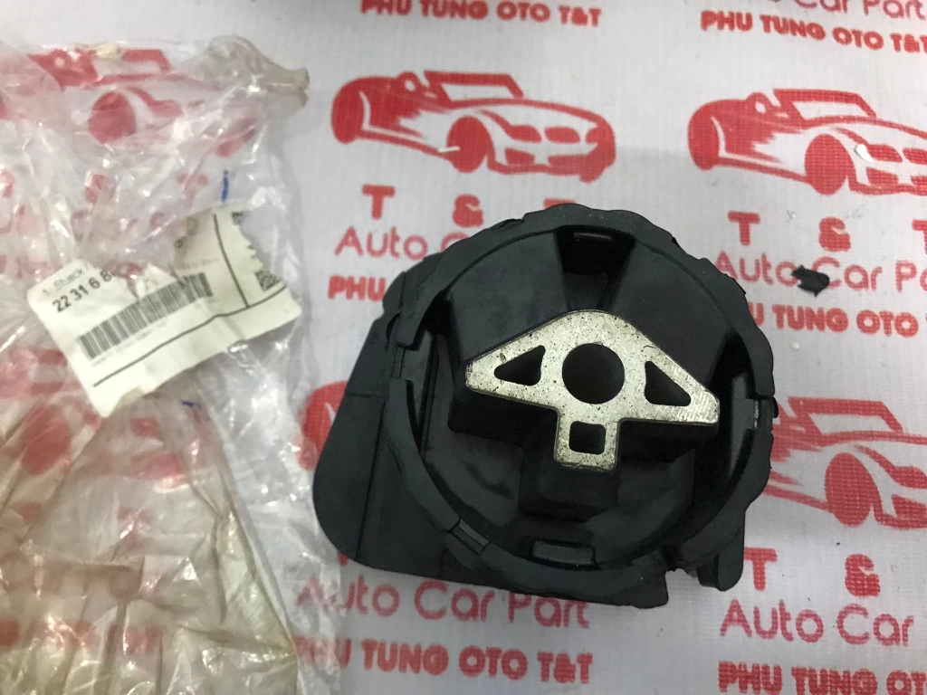 Cao su chân số BMW X5 E70 F15 X6 E71 F16- 22316864675