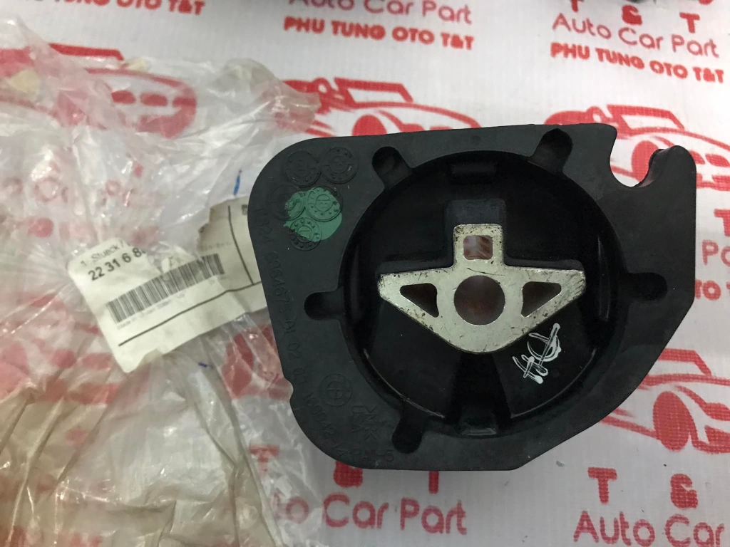 Cao su chân số BMW X5 E70 F15 X6 E71 F16- 22316864675
