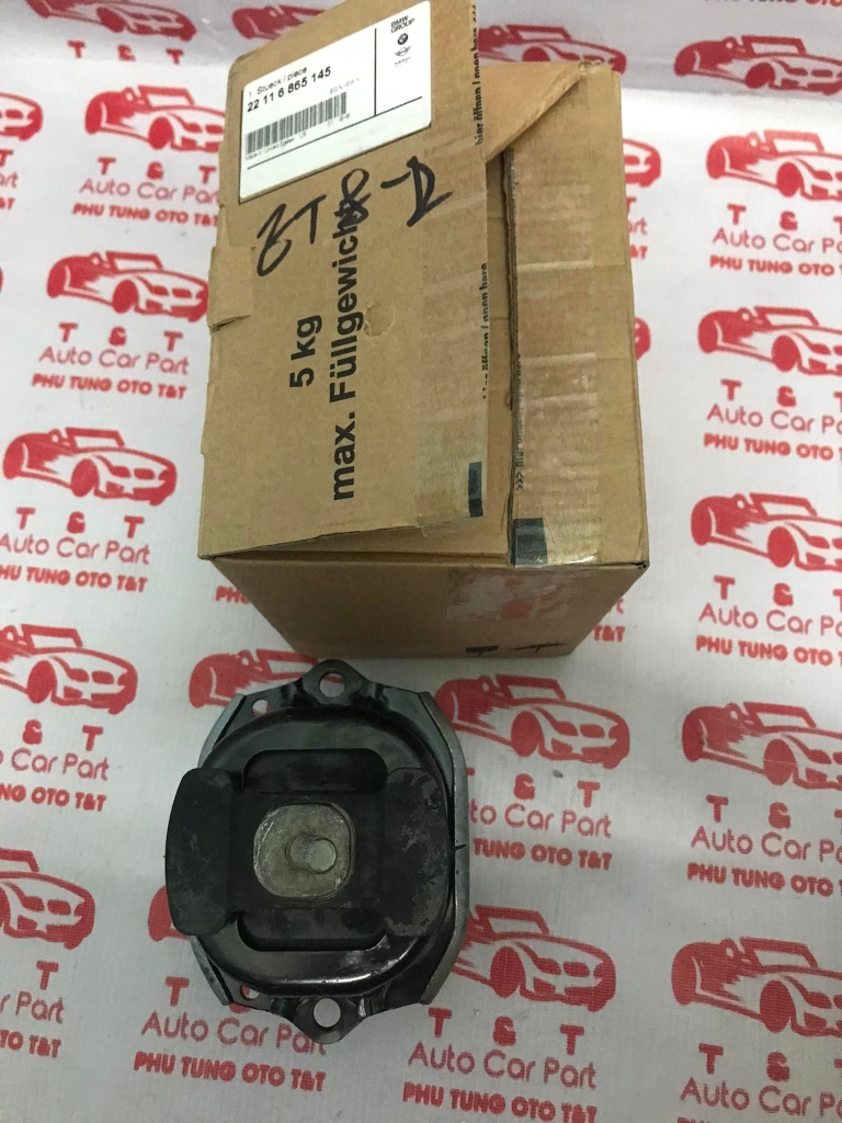 Chân máy BMW X5 - X6 -22116865145