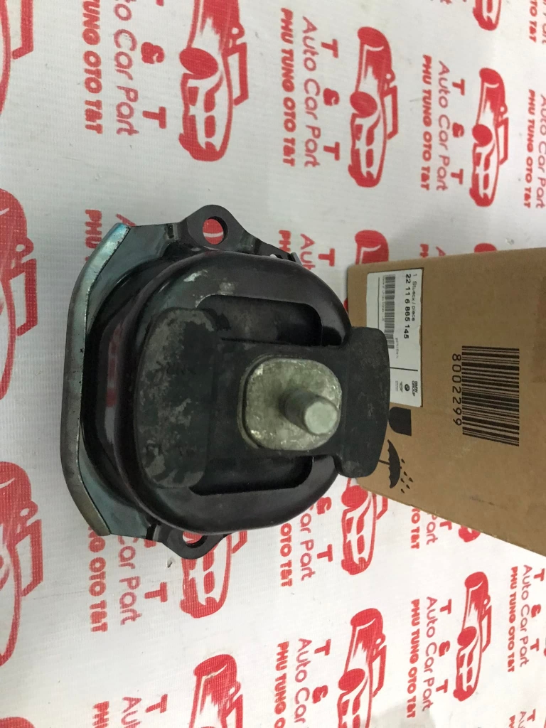 Chân máy BMW X5 - X6 -22116865145