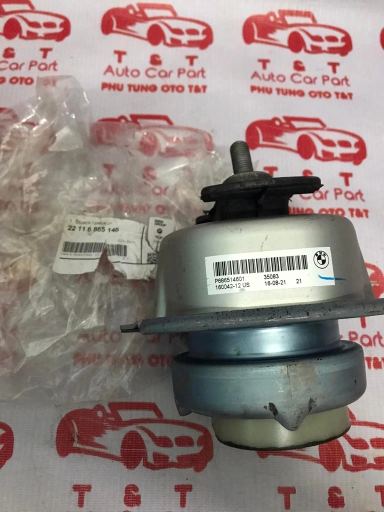 Chân máy BMW X5 - X6 -22116865146