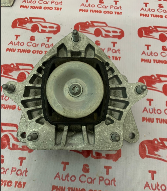 A2052402500-Cao su chân số xe Mercedes E43 AMG,  GLC250 GLC300