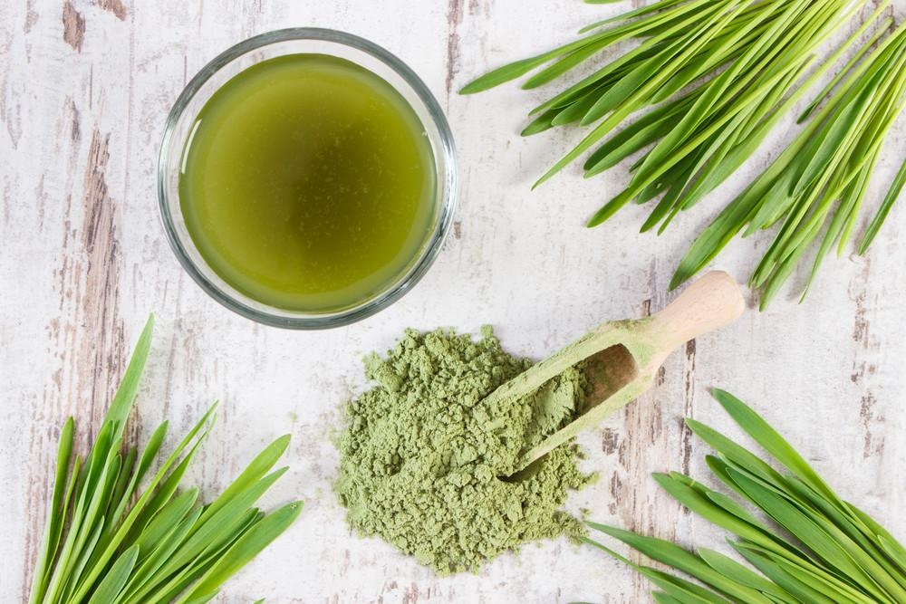 Cách sử dụng bột cỏ lúa mì - Wheatgrass