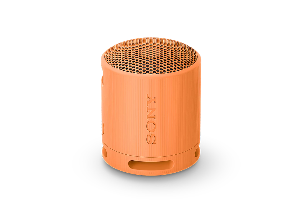 Loa Bluetooth Sony SRS-XB100 Extra Bass