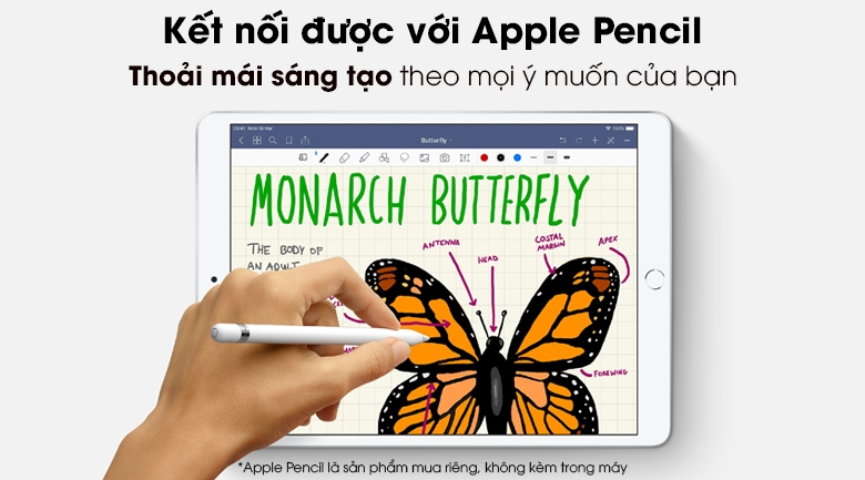 Ipad Air 3 4G + Wifi