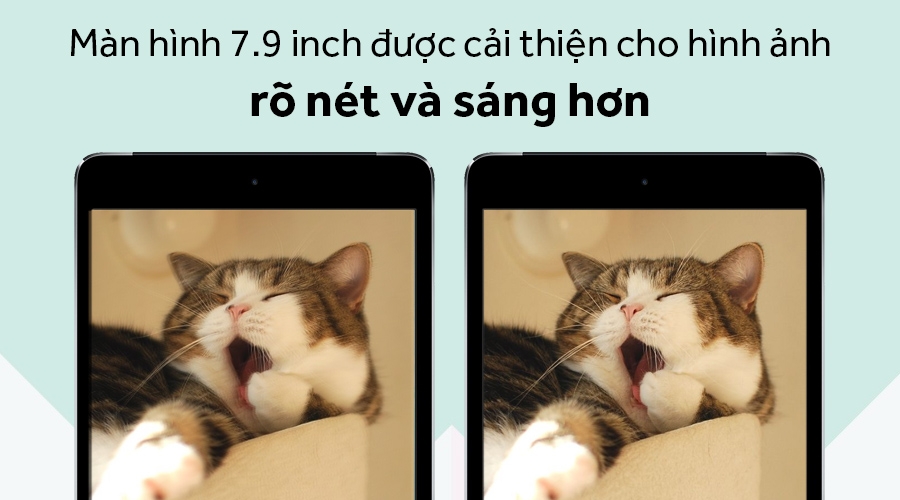 Ipad Mini 4 4G + Wifi