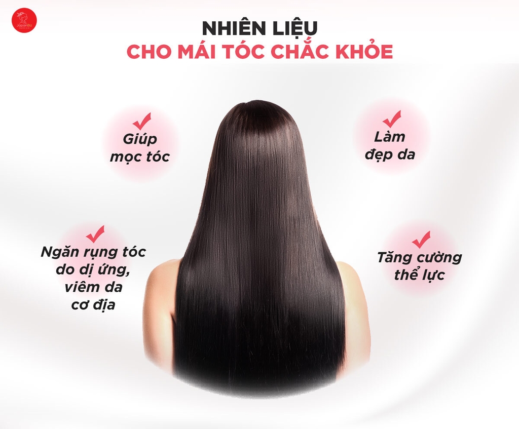 Viên Uống DHC Biotin Ngăn Rụng Tóc Gói 30 Viên 30 Ngày Sustained Release Biotin