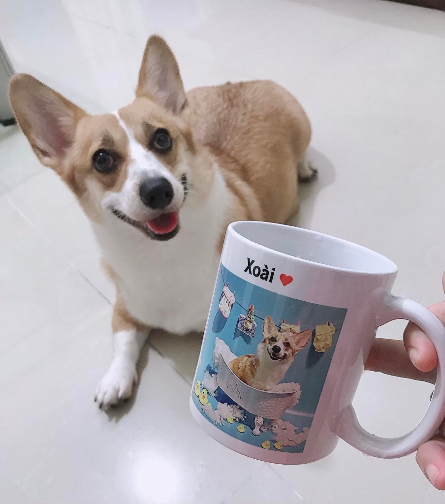 Cốc vẽ thú cưng theo yêu cầu Cốc Vẽ Thú Cưng Theo Yêu Cầu