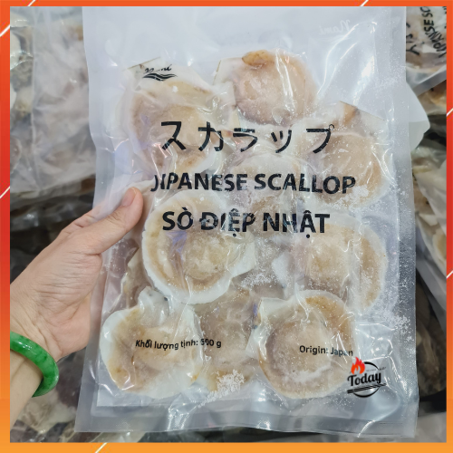 Sò Điệp Nhật Bản nữa mảnh