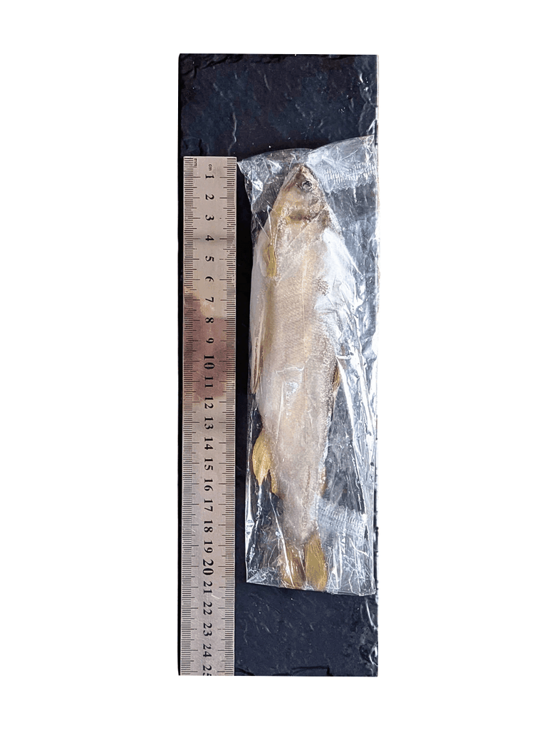 Cá Ayu Nhật Bản Có Trứng (size 10 con) 1KG